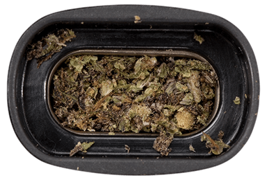 Pax 2 oven rim